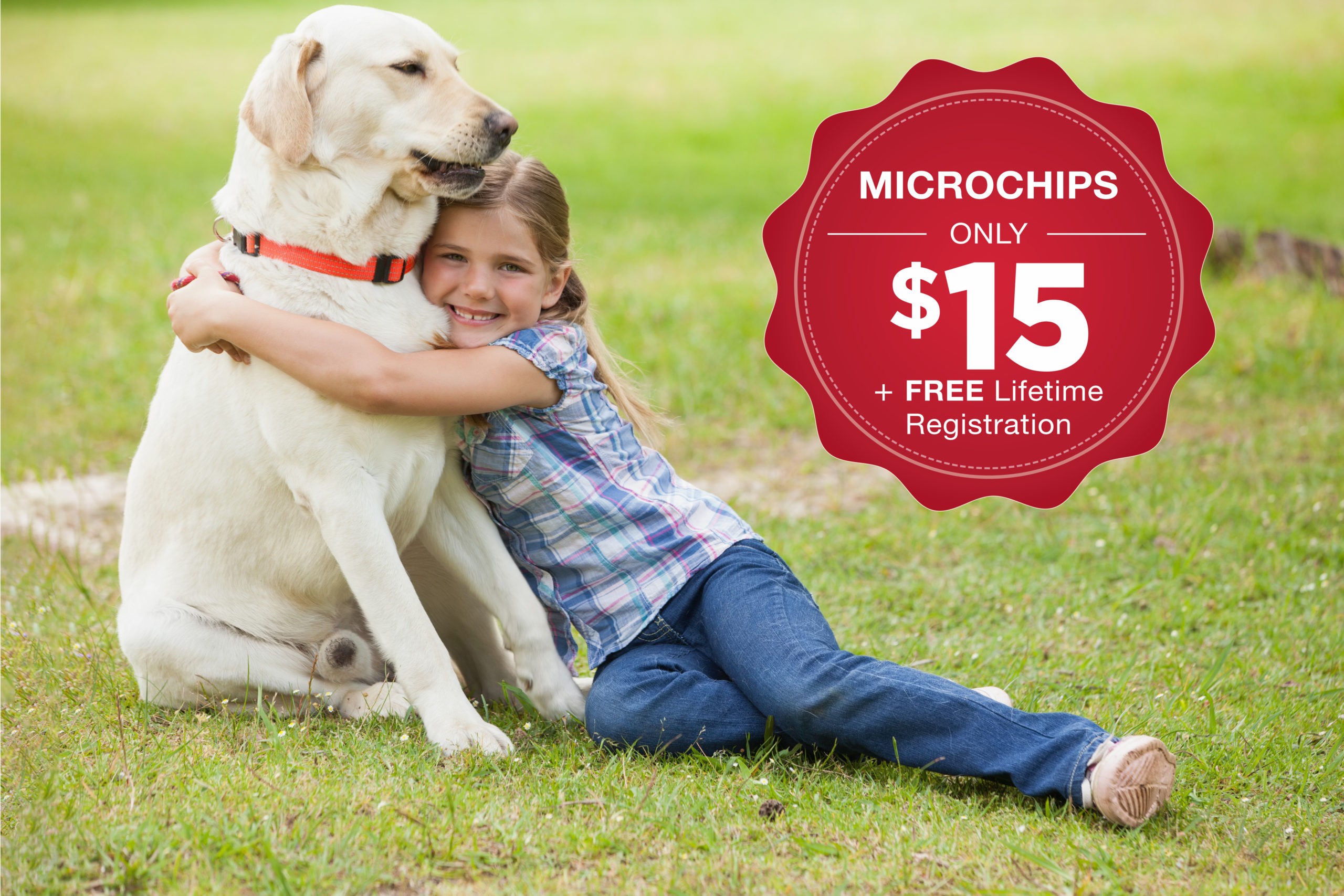 Microchipping